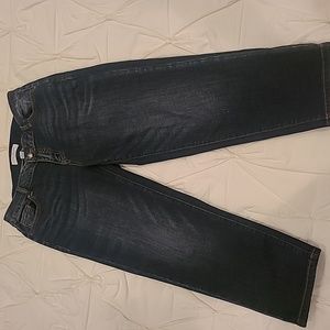 Lane Bryant Jeans